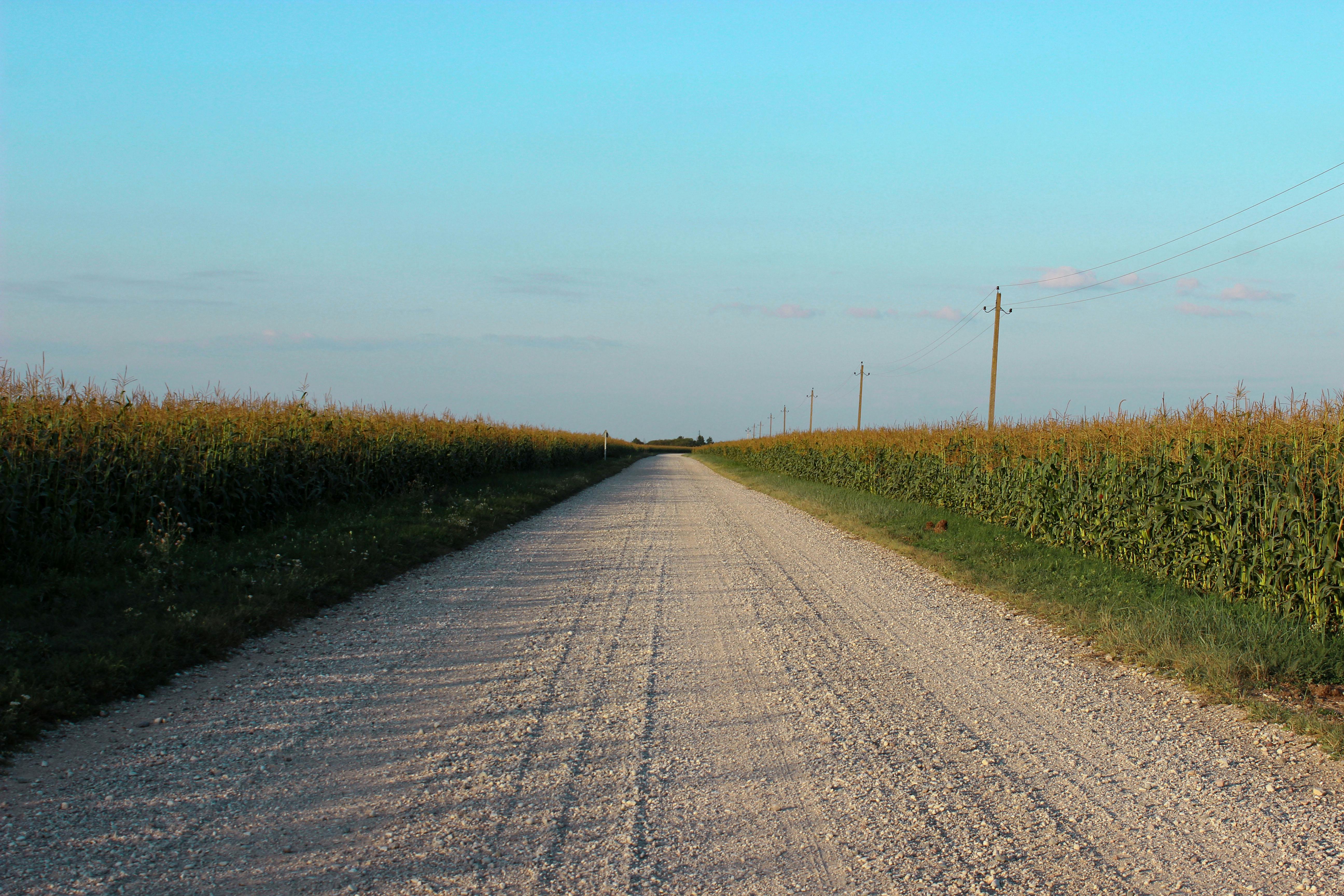 Photo de EARL DE CHANGE